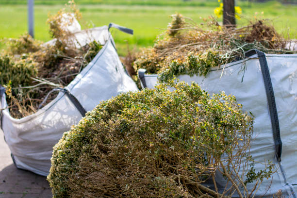 Best Full-Service Junk Removal  in Calhoun City, MS